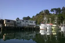 boat13.webp