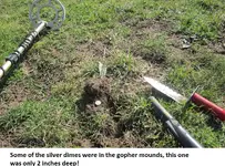 Finds from 7-20-14 015.webp