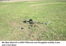 Finds from 7-20-14 017.webp