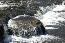 IMG_7154.webp