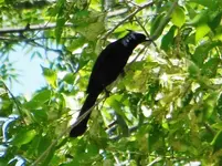DSCN6726.webp