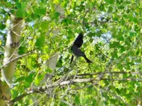 DSCN7262.webp