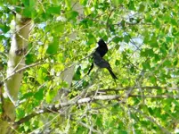 DSCN7263.webp