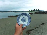 plate.webp