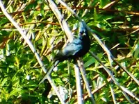 RSCN7373.webp