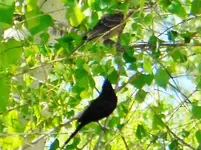 DSCN7266.webp