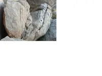 heart3.webp