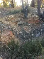 image3.webp