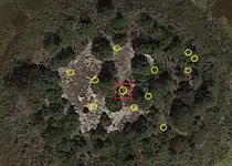 Picnic%20Grove%20-%20Fielddowsed.webp
