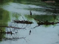 K1600_028.webp