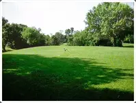 SDC18627-crop.webp