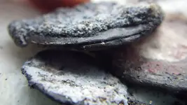 new coins two cleaning 004.webp