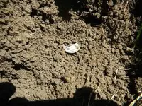 DSCN2535.webp