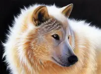 airbrush nala-sandi-baker.webp