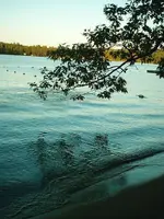 Pleasant Lake1.webp