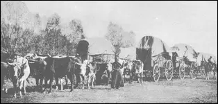 wagons1.webp