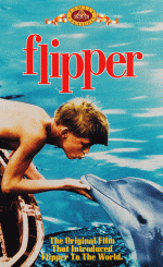 flipper_or_not_1.gif