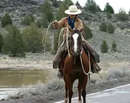 marsh 4 - 14 - 6 040_RJ.webp