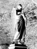 angel brooklyn NY.webp