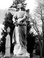 Angel New York.webp