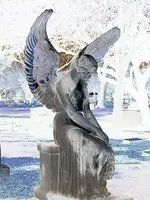 Weeping angel Dallas TX.webp