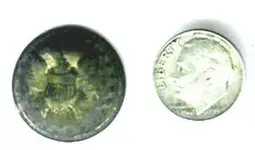 buttonanddime.webp