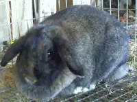 03-08-07_1619.webp