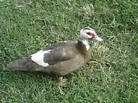 pictures 018.webp