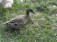 pictures 019.webp