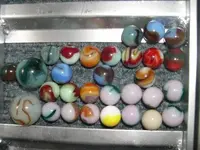 DSCN4729.webp
