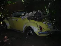 DSCN1550.webp