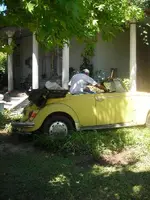 DSCN1661.webp