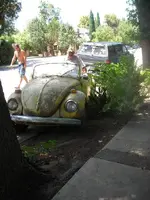 DSCN1662.webp