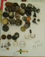P1010001a.webp