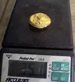 Button102807.webp