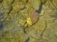 P9170221_resize_resize_resize.webp