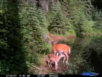spots!.webp