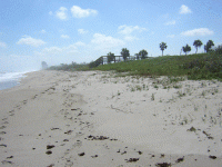 DSCN1582.gif