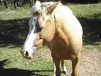pictures 021.webp
