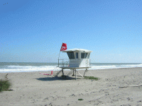 DSCN1583.gif