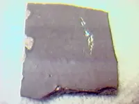 10-18-07 pottery frag. rev..webp 10-18-07 pottery frag. rev..webp