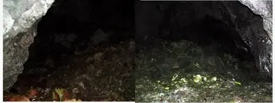 spanishmound1.webp