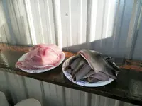 100_0373.webp