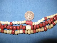 Beach Puppy And Beads 011.webp