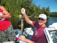 100_0381.webp