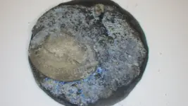 new coins two cleaning 014.webp