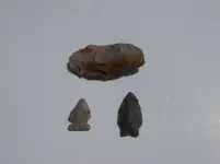 DSCN0237.webp