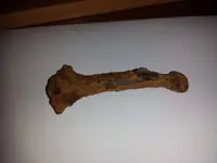 20140721_172903.webp