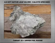 4.8 TROY OZ LEAF SILVER SF.webp