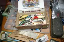 fish1.webp